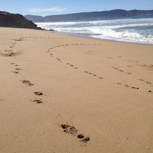 Meet your Posher, Sara - Picture 6 of 8