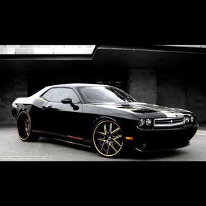 Meet your Posher, Brice