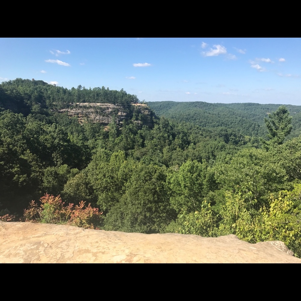 Meet your Posher, Arianna