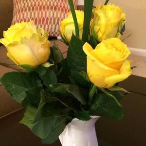 Meet your Posher, Vicki