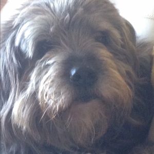 Meet your Posher, Jeff