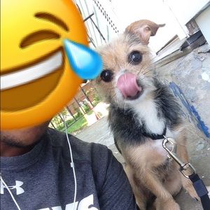 Meet your Posher, Jeff