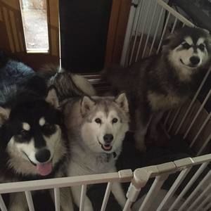 Meet your Posher, Stacy