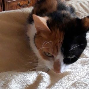 Meet your Posher, Glenna