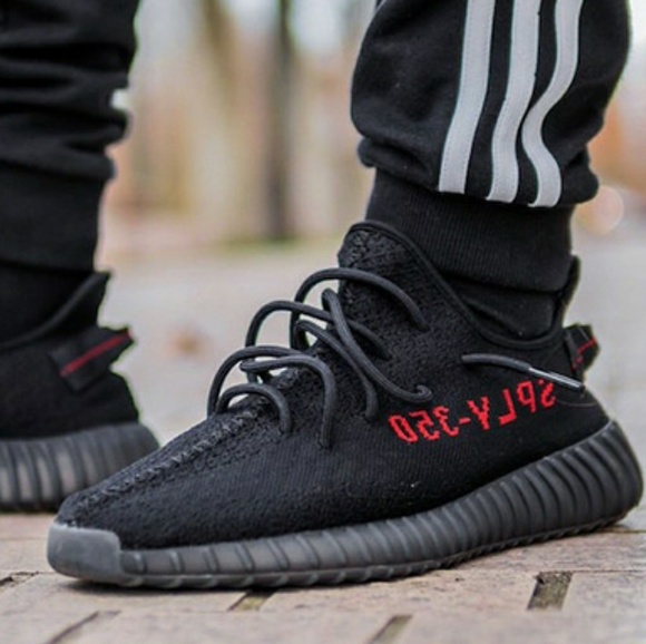 Meet your Posher, Charlie - Picture 2 of 4