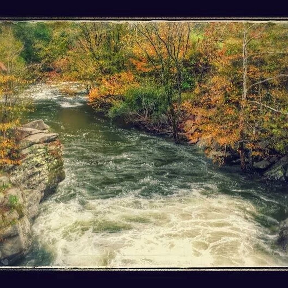 Meet your Posher, Luis