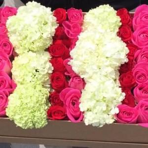 Meet your Posher, Jeannette