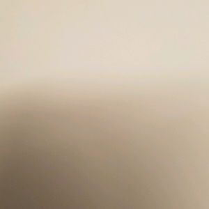 Meet your Posher, Tanya