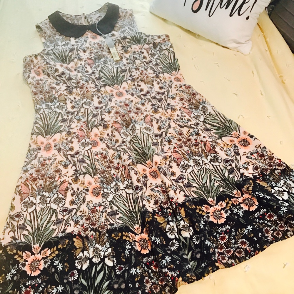 NWT Lauren Conrad Dress
