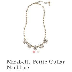 Chloe+Isabel Mirabelle Petite Collar Necklace