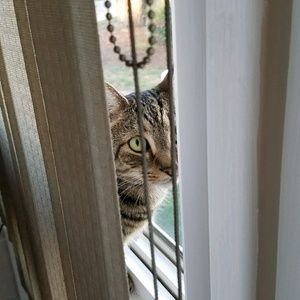 Meet your Posher, Kim