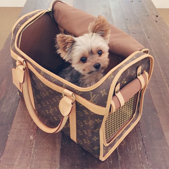 🖤 Meet your Posh Ambassador - Picture 4 of 10