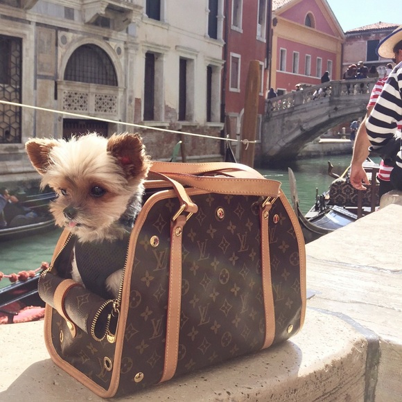 🖤 Meet your Posh Ambassador - Picture 7 of 10