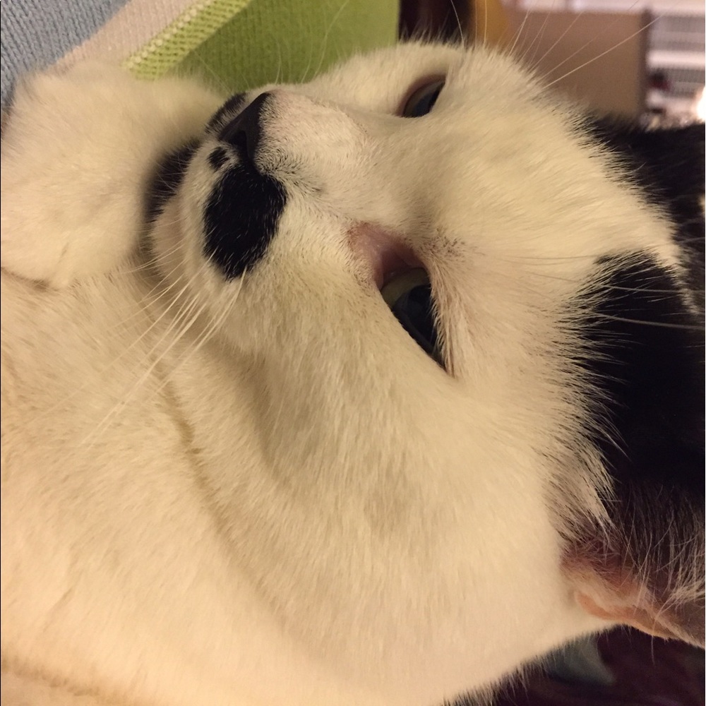 Meet your Posher, Erin