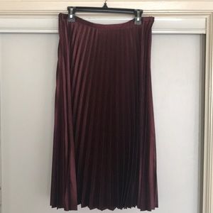 NEW Pleated Zara Skirt