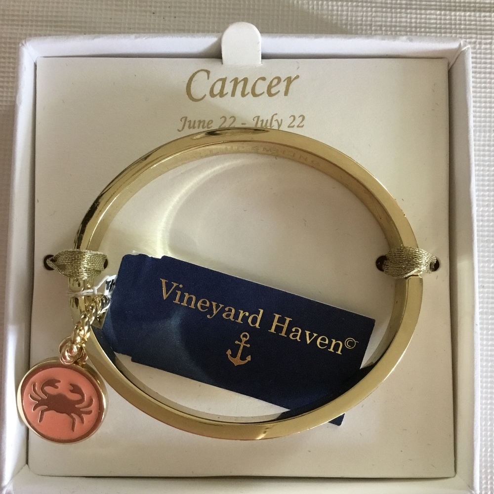 VINEYARD HAVEN Cancer Charm BANGLE BRACELET