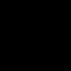 Meet your Posher, Vennetez