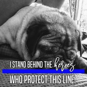 Meet your Posher, Wendy