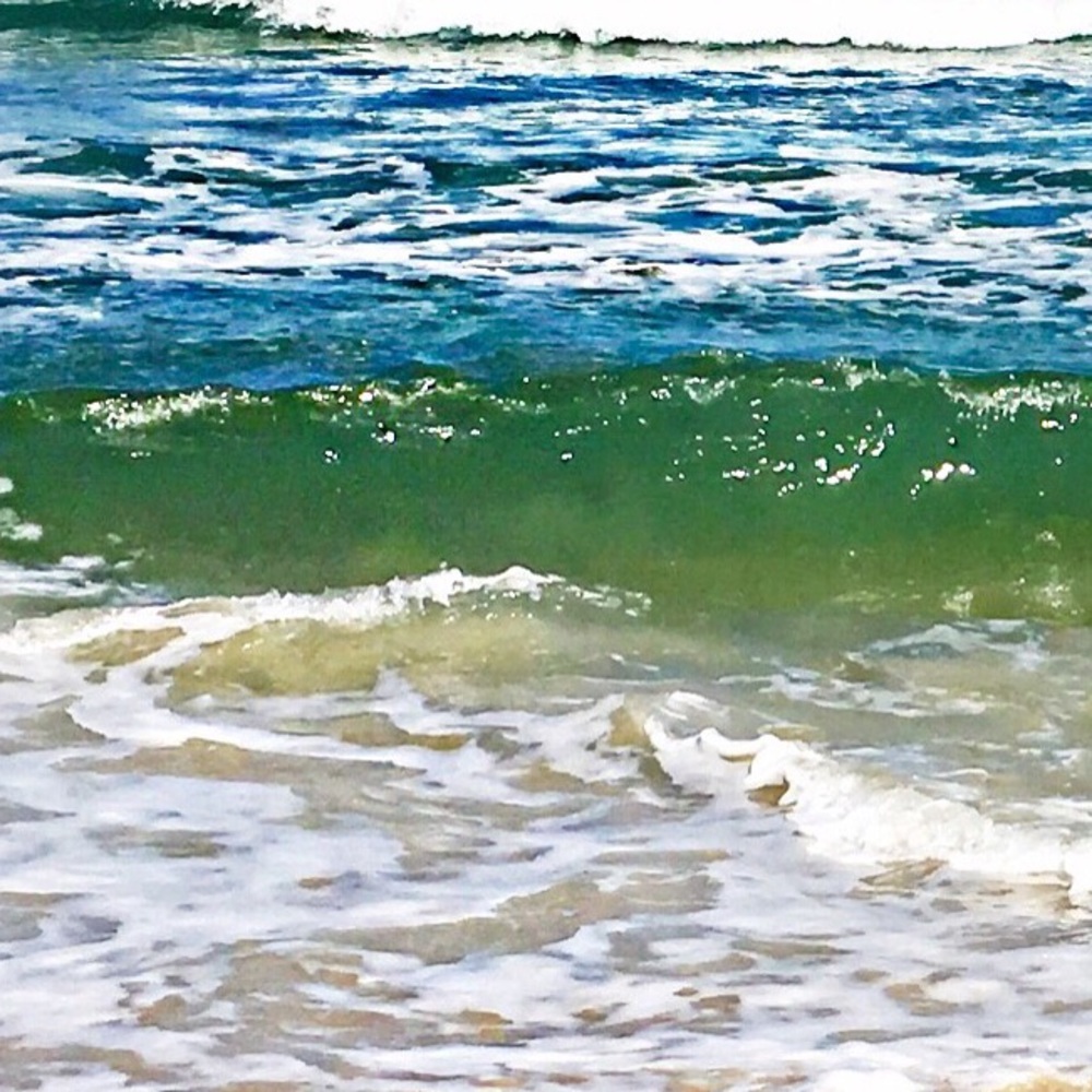 Meet your Posher, Cate