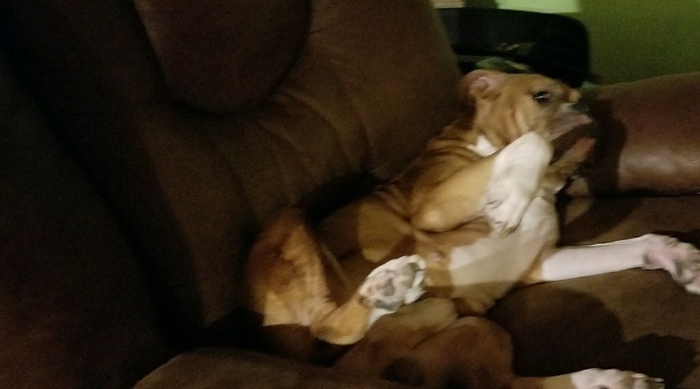 Meet your Posher, Lorena