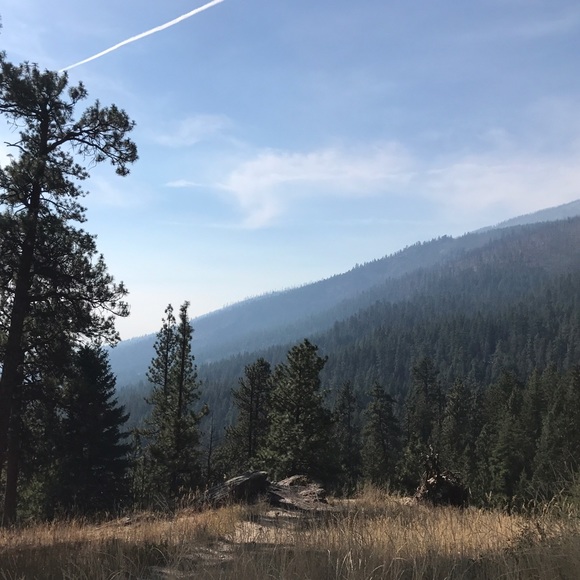 Meet your Posher, Amy - Picture 1 of 1