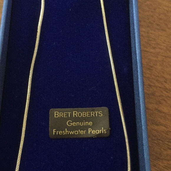 Bret Roberts 3 piece Necklace and Earrings - Picture 4 of 4