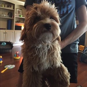 Meet your Posher, Kenneth