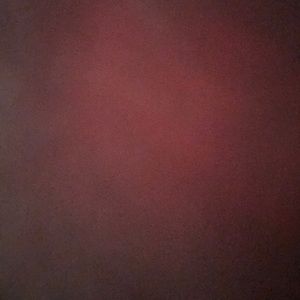 Meet your Posher, Lenae