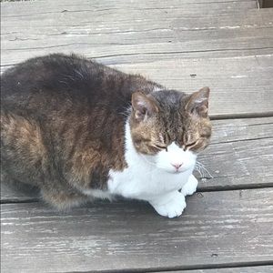 Meet your Posher, Joann