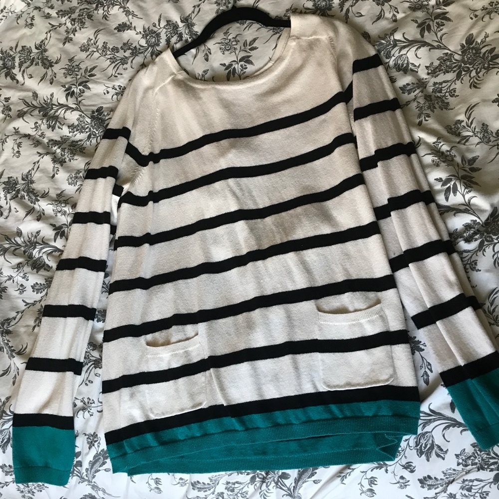 Ann Taylor Loft sweater