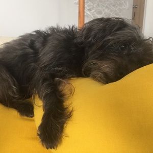 Meet your Posher, Emma