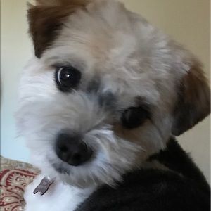 Meet your Posher, Cherise