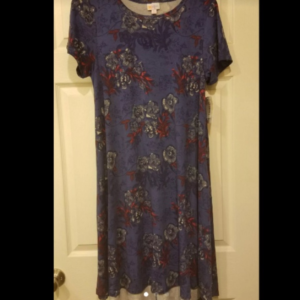 Lularoe Carly S EUC