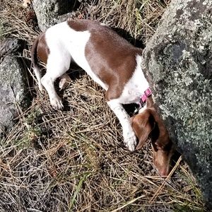 Meet your Posher, Tyler rose