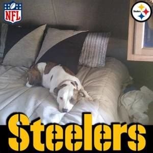 Meet your Posher, Jeanne