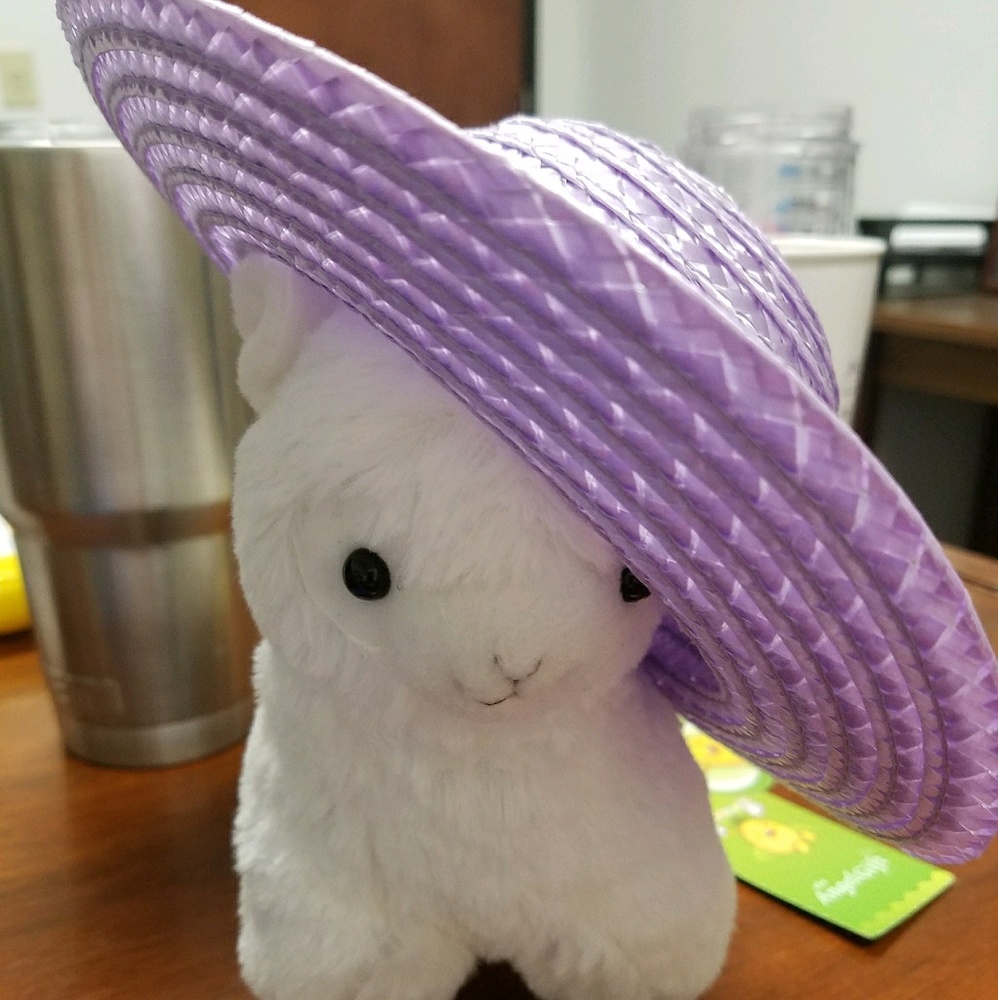 Meet your Posher, Jeanne