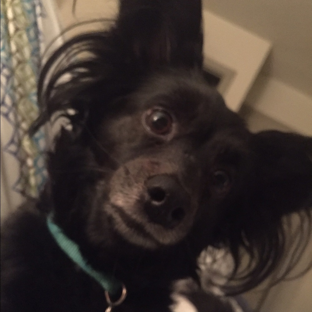 Meet your Posher, Jamie