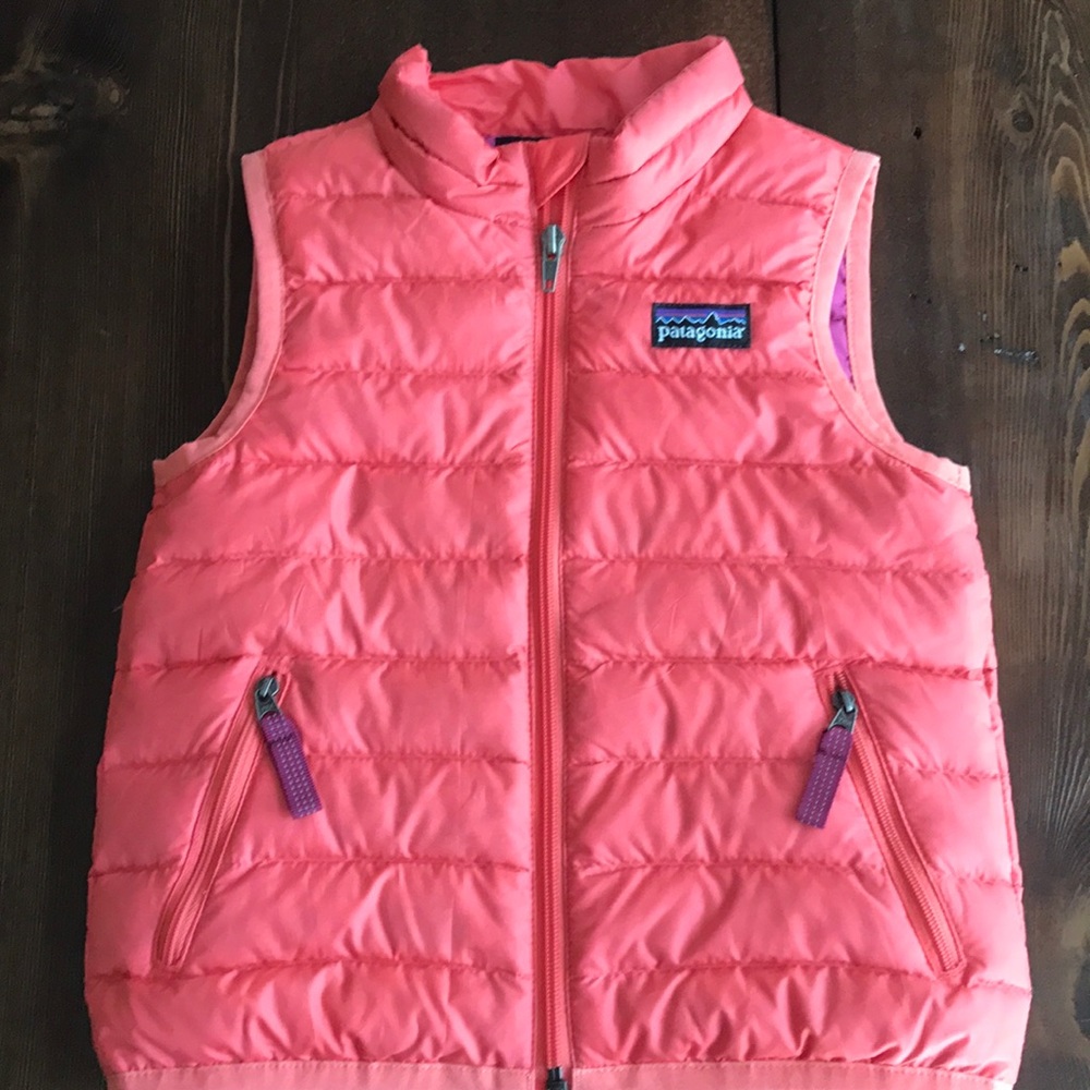Patagonia Goose Down Vest