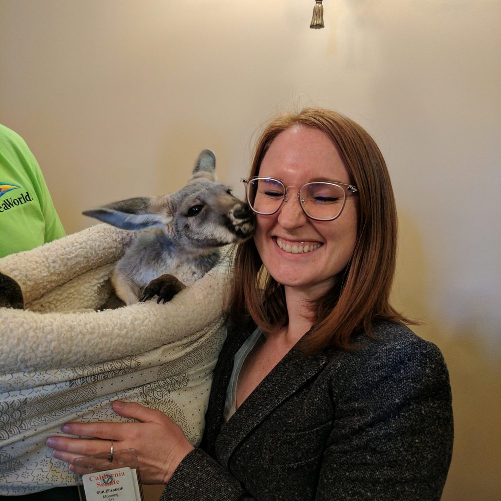 Meet your Posher, Elizabeth