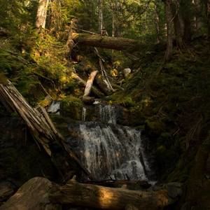 Meet your Posher, Colin