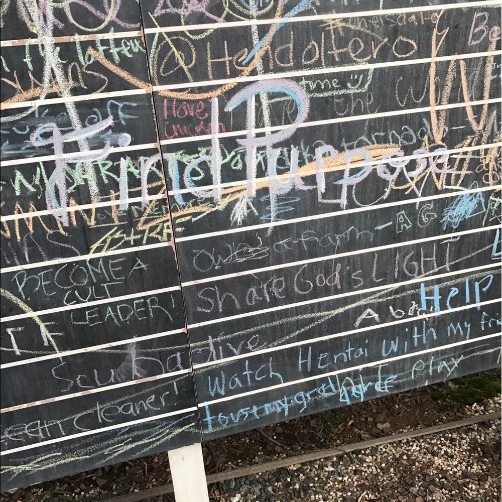 Meet your Posher, Haley