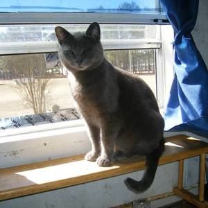 Meet your Posher, Vivian