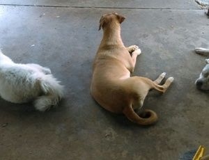 Meet your Posher, Richard