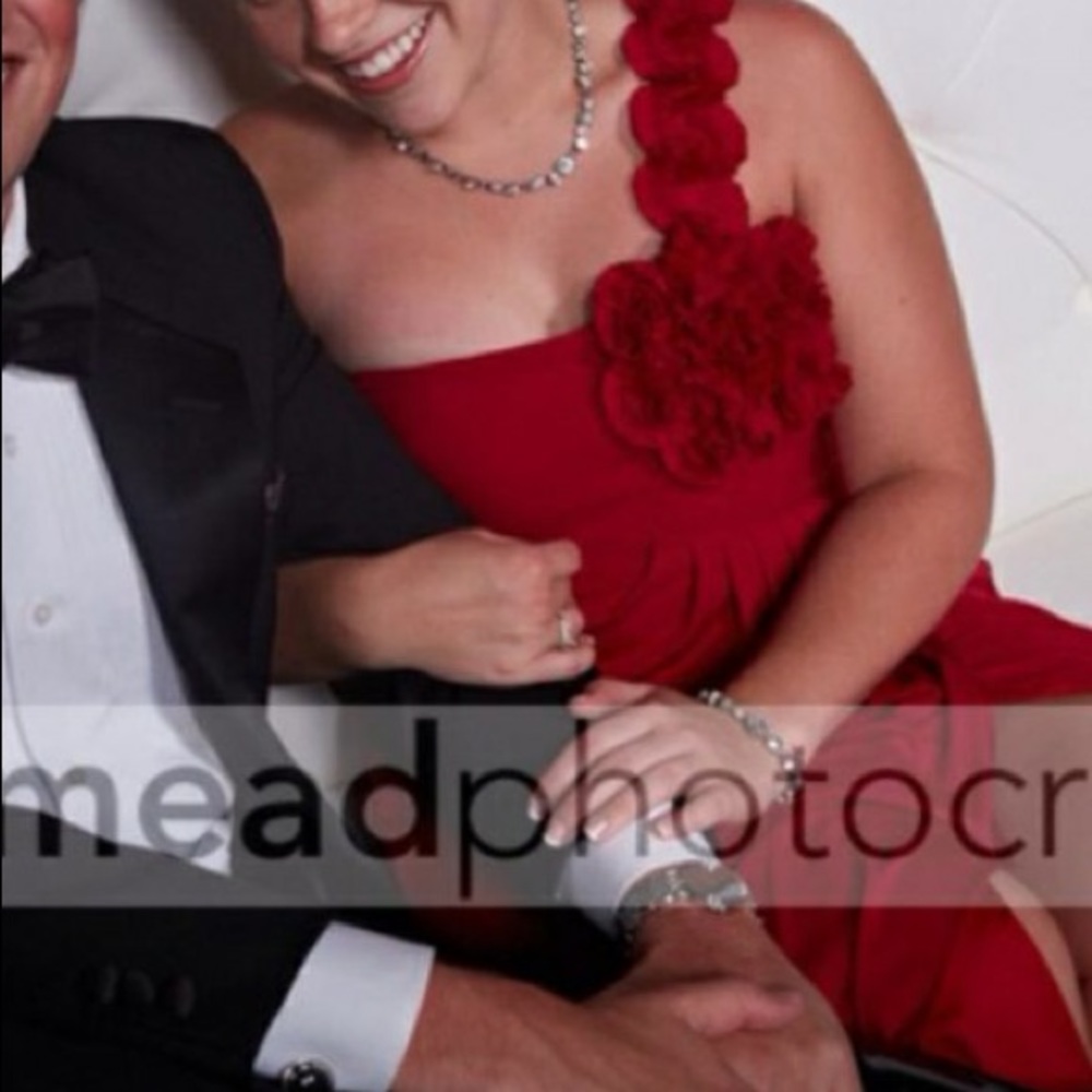 BCBG GORGEOUS Red Gown