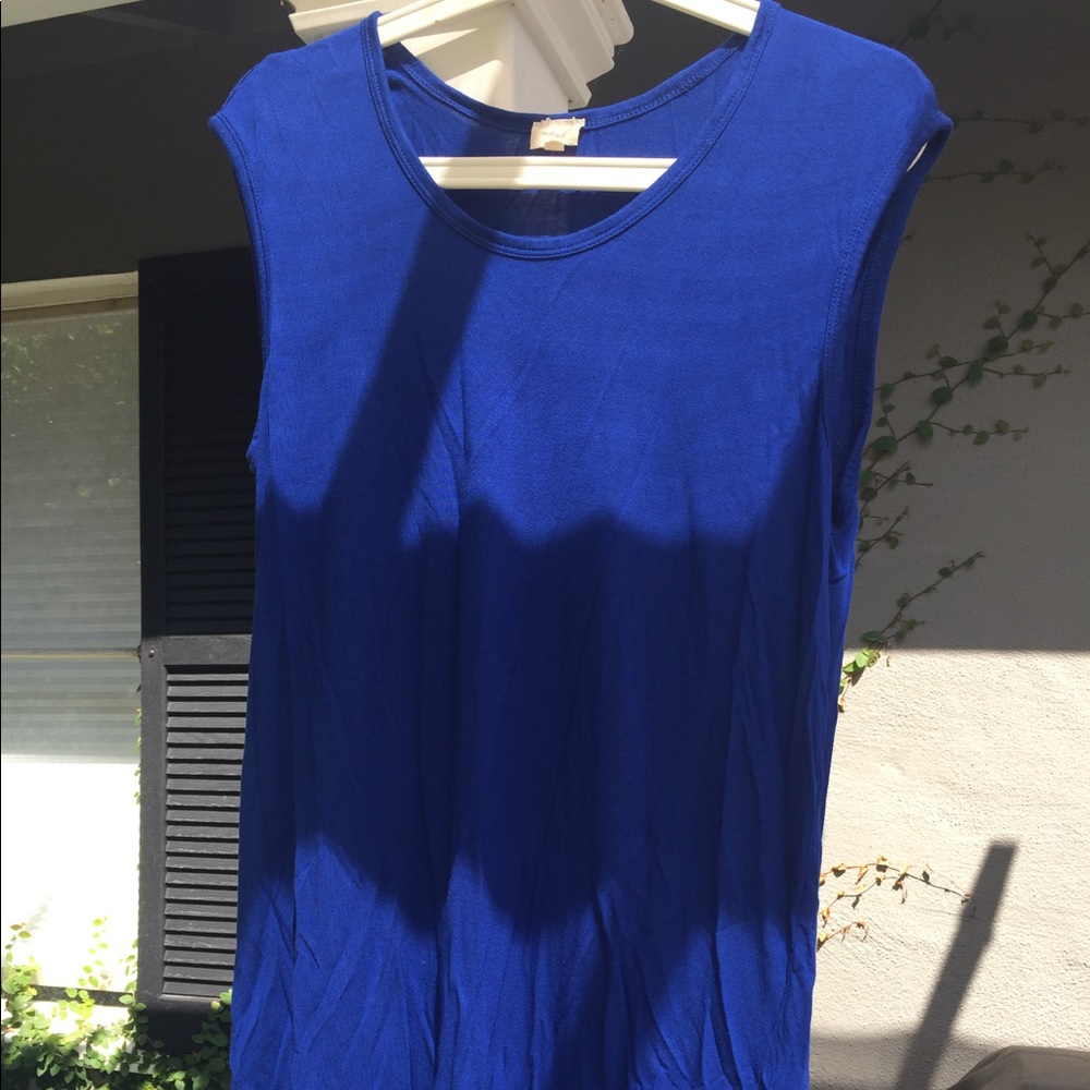 Like New Aritzia Wilfred Free Top in Bright Blue
