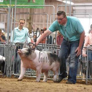 Meet your Posher, Dylon