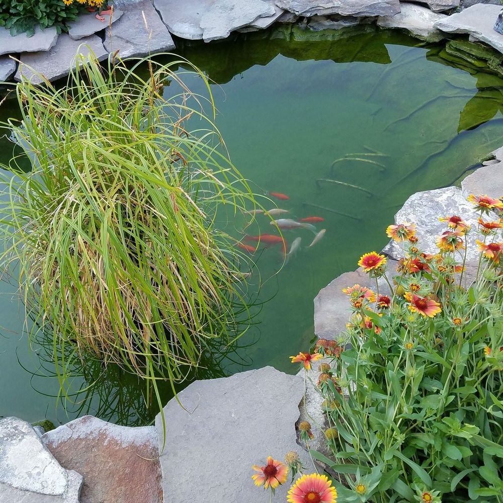 Meet your Posher, Theresa