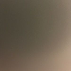 Meet your Posher, Evelyn