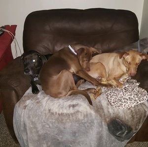 Meet your Posher, Carrie