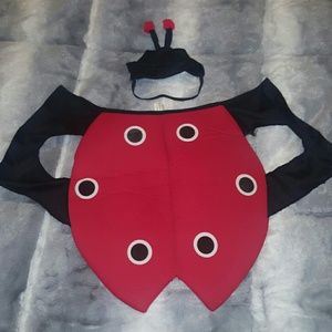 🐶🐞 Dog's Ladybug Halloween Costume! Super Cute!